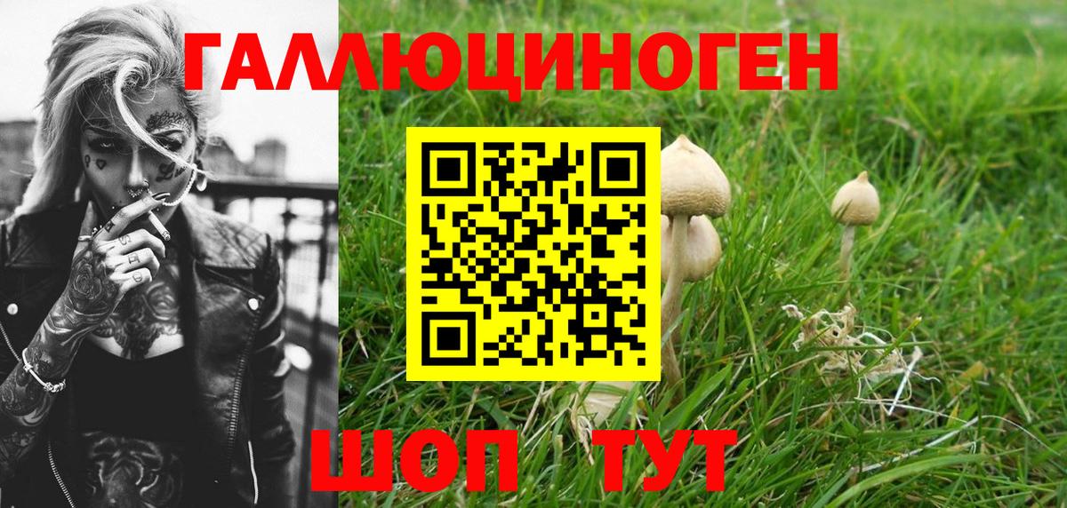Галлюциногенные грибы Psilocybine cubensis Электросталь